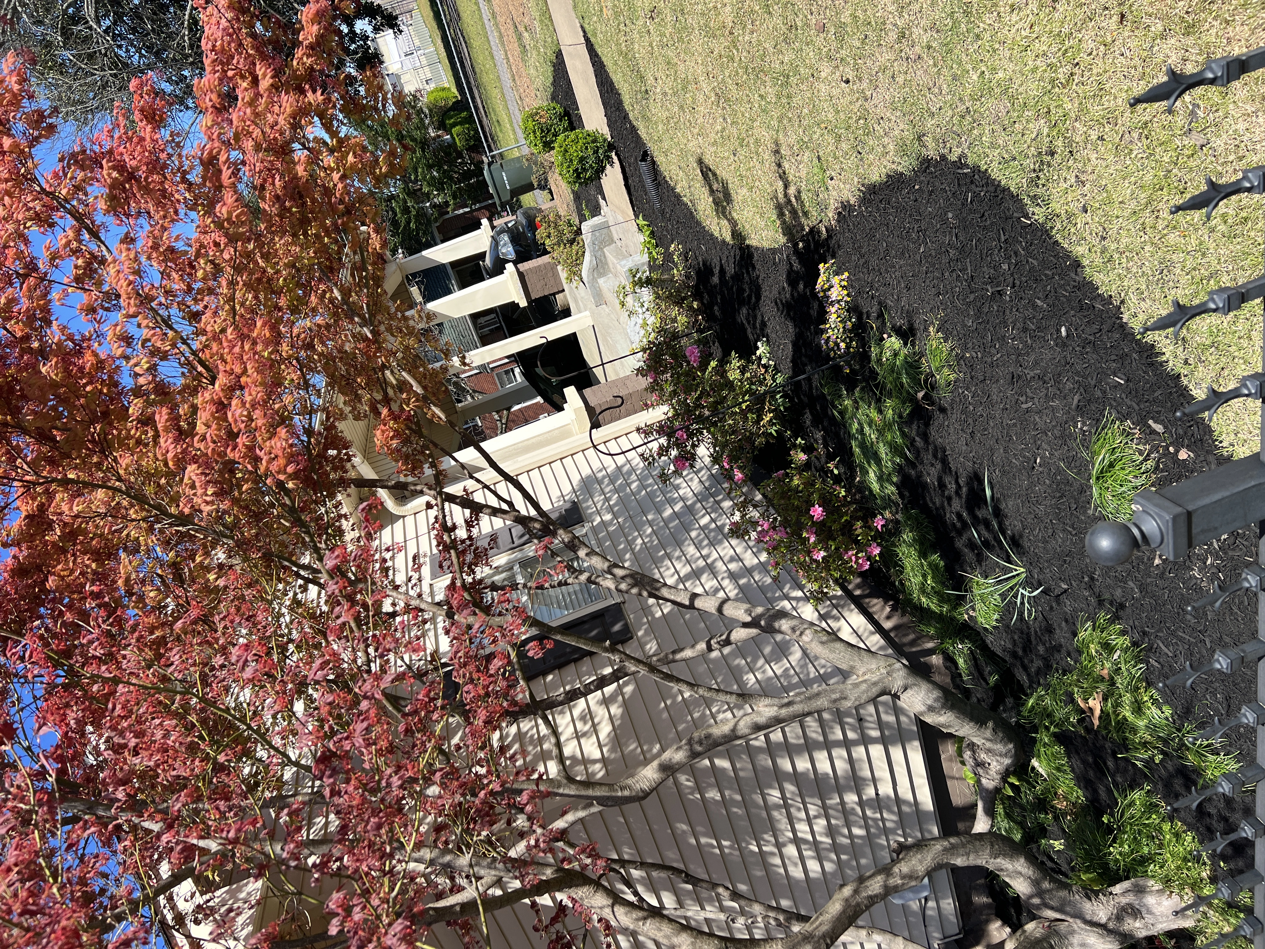 Ripley, TN that has just had new black dyed mulch installed.
