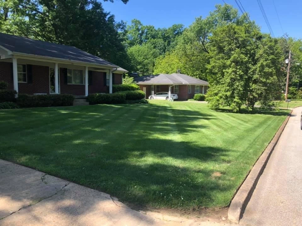 Front yard of a customer in Ripley that has been newly mowed.