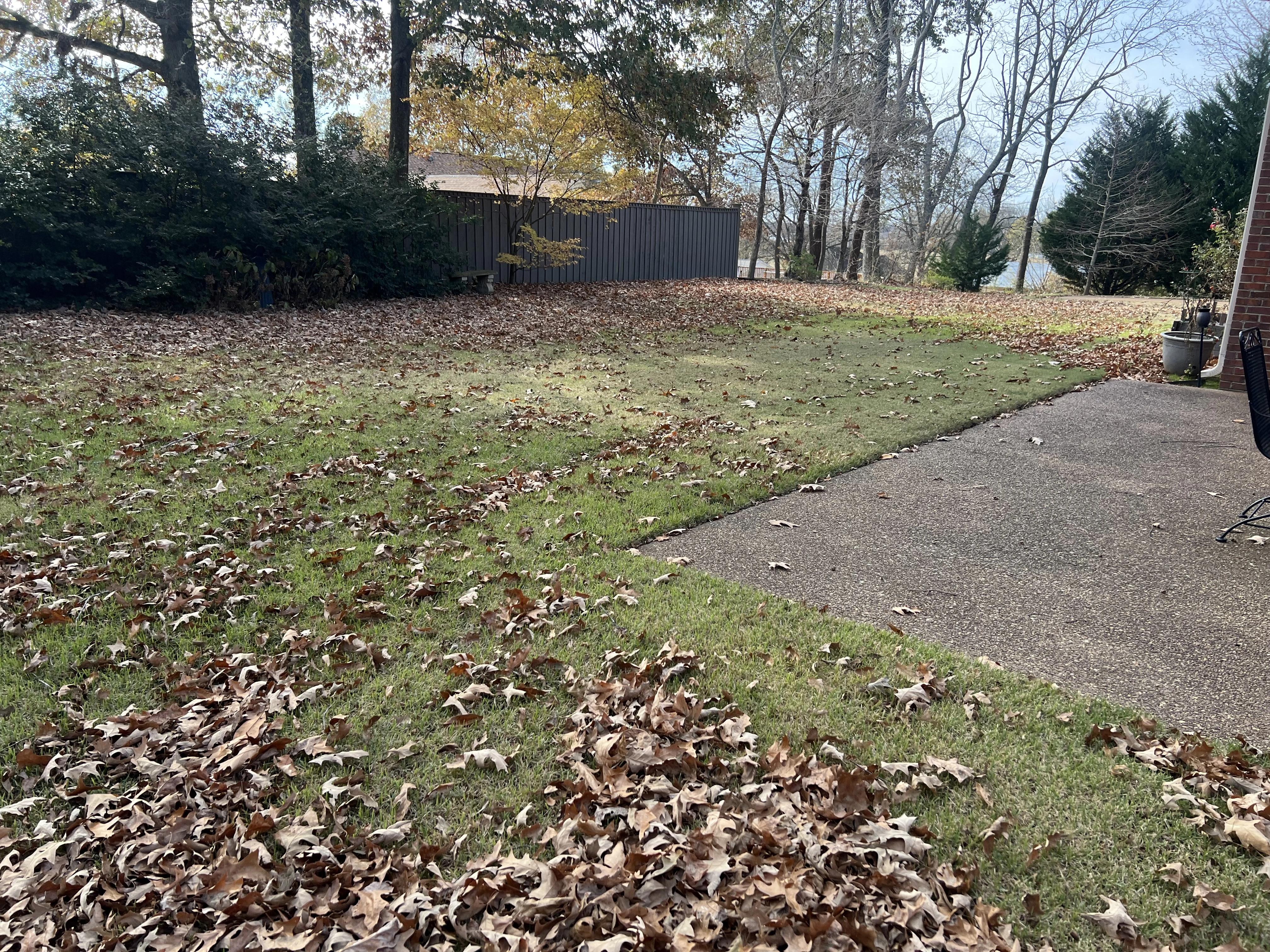 Front yard in Gates in need of leaf removal services.